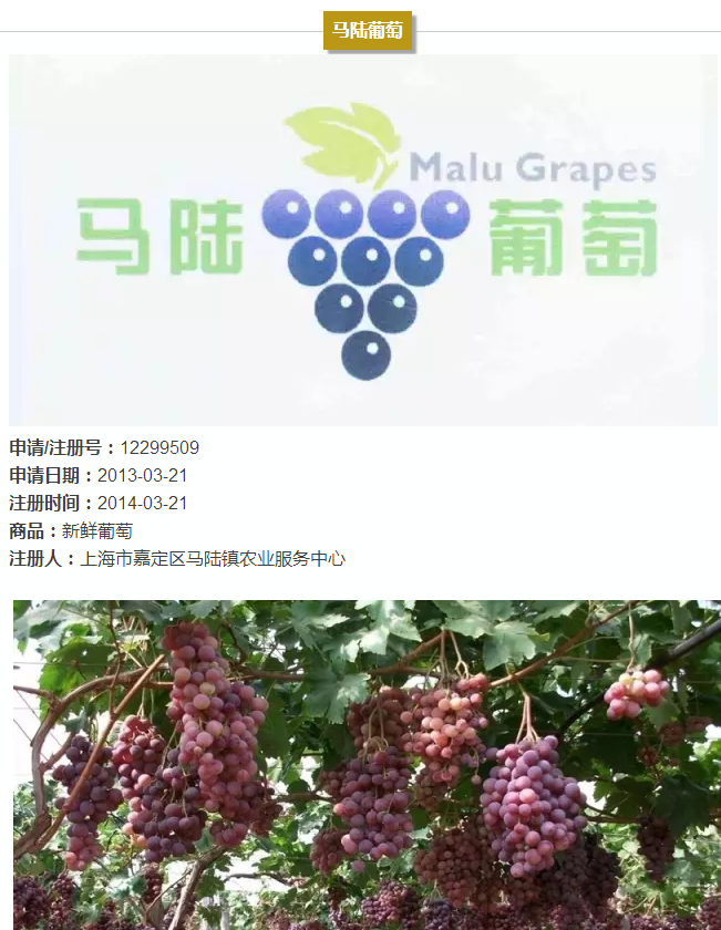 上海的13件地理標志證明商標，你都認識嗎?