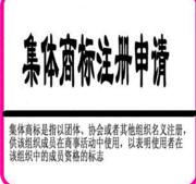 南海區(qū)集體商標總量居全市首位 南海區(qū)集體商標總量居全市首位