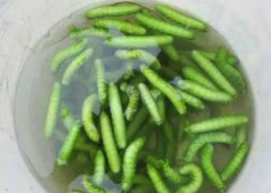 “灌云豆丹”證明商標申請遇阻 “灌云豆丹”證明商標申請遇阻