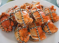 鹽城射陽大閘蟹苗成“地理標志集體商標” 鹽城射陽大閘蟹苗成“地理標志集體商標”