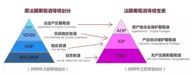 三分鐘，看懂所有的法國葡萄酒酒標