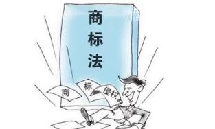 申請人的商標注冊數量能否成為“不正當”的決定性因素？