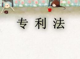一品知識產(chǎn)權(quán)解析：什么是專利實質(zhì)審查