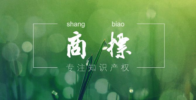 商標審查有哪些步驟?