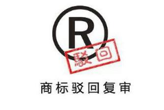 美國(guó)商標(biāo)復(fù)審和上訴委員會(huì)任命新的副首席法官