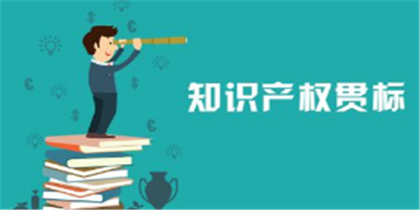 淺談知識產(chǎn)權(quán)貫標(biāo)的好處