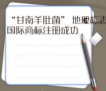 “甘南羊肚菌” 地理標志國際商標注冊成功