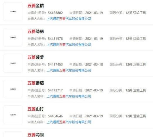 多個“水果”商標:菠蘿、番茄、龍眼、藍莓被五菱注冊商標