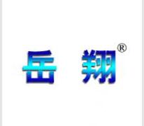 岳翔，讓品牌飛躍翱翔